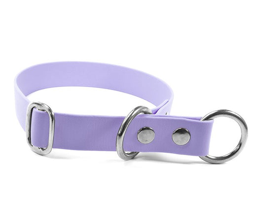 Biothane® Zugstopp Halsband
