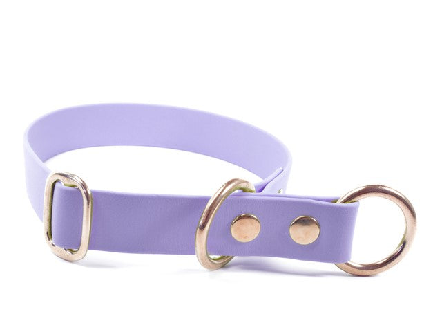 Biothane® Zugstopp Halsband