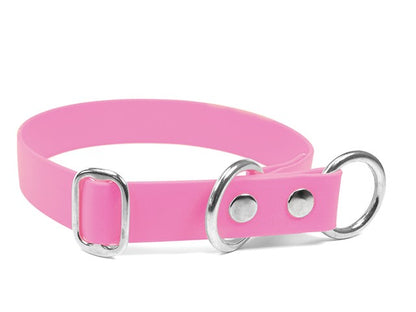 Biothane® Zugstopp Halsband