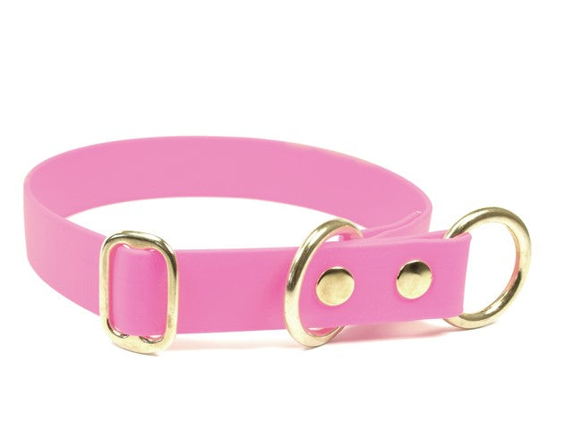 Biothane® Zugstopp Halsband