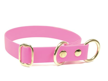 Biothane® Zugstopp Halsband