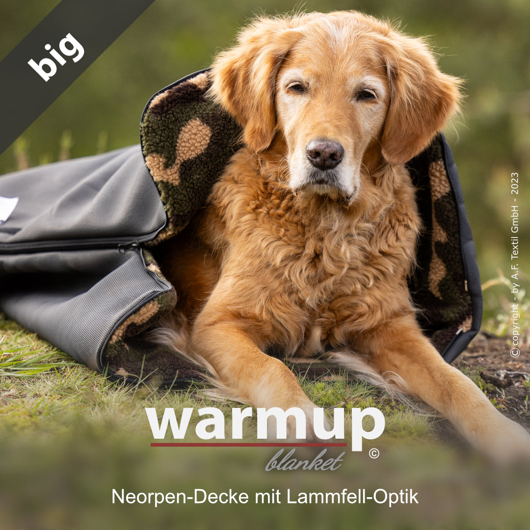 Hundedecke warmup©  blanket